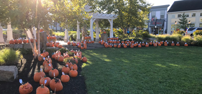 K-4th Grade Pumpkin Patch