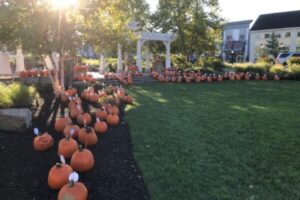 pumpkin patch