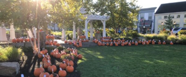 pumpkin-patch-600