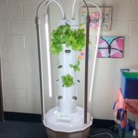 Tower Garden